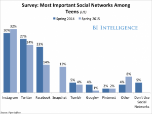 Teen Social Net Prefs