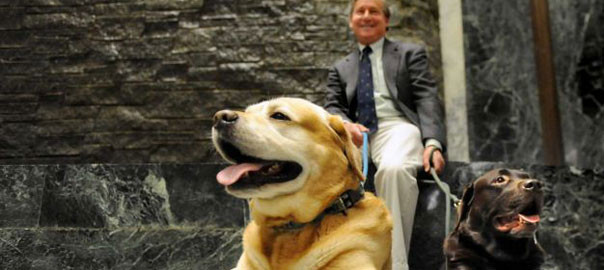 English labs Teddy, left, and Winston, right, relax with their owner, Assemblyman Steve Otis, during Animal Advocacy Day on Wednesday, June 3, 2015, at the Legislative Office Building in Albany, N.Y. (Cindy Schultz / Times Union)